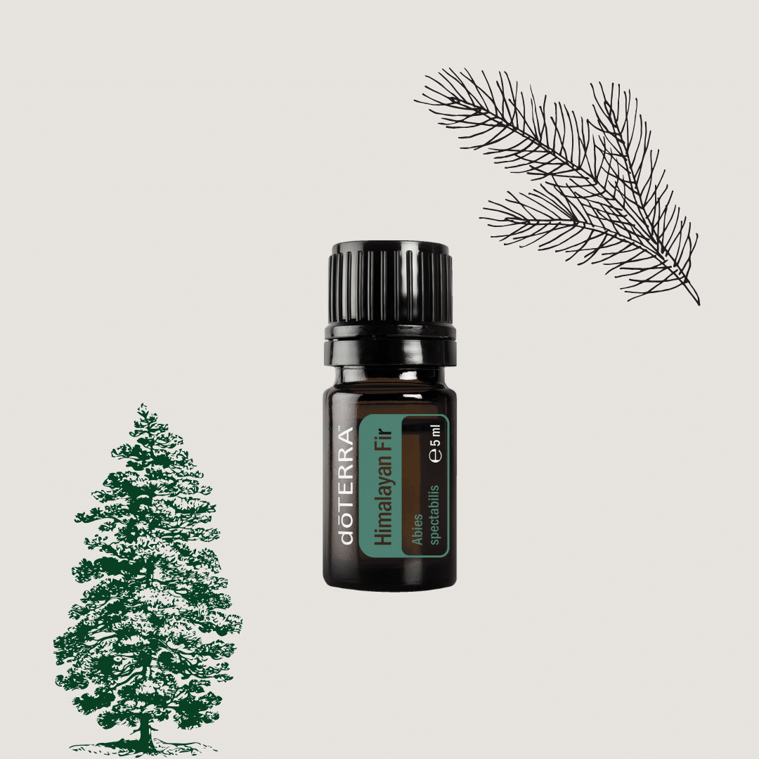 doTERRA Himalayan Fir