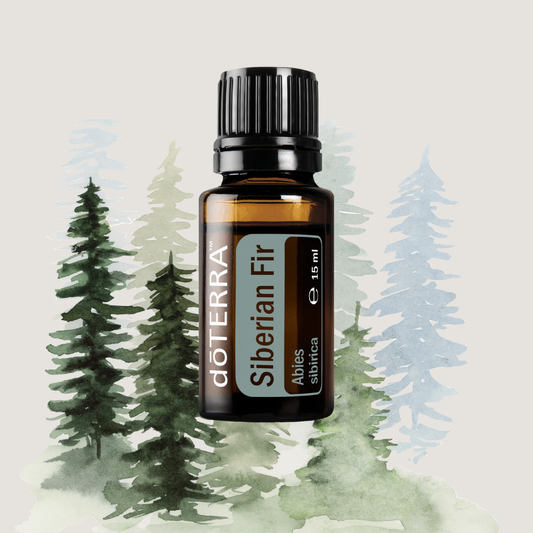 dōTERRA Siberian Fir