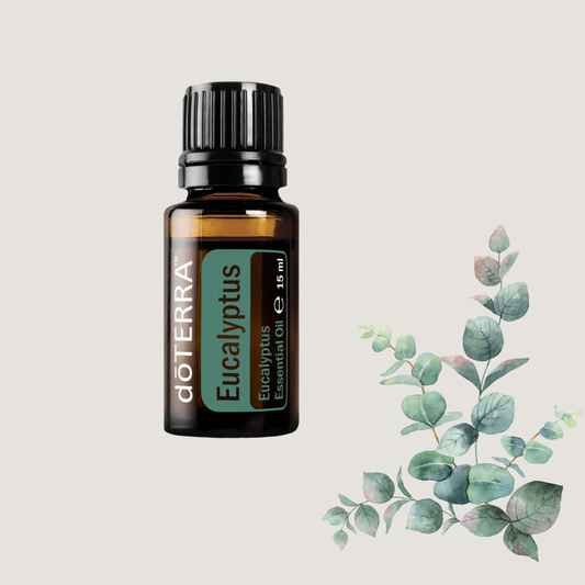 dōTERRA Eucalyptus
