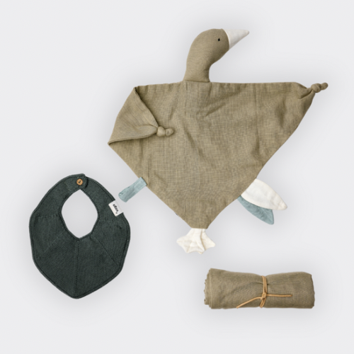 Geschenkbox Gans Shades of Green Tea Saga Copenhagen