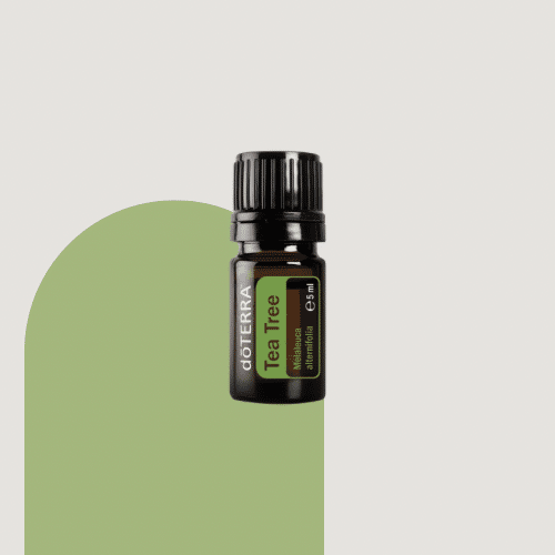 doTERRA Teebaumöl 5 ml Sale