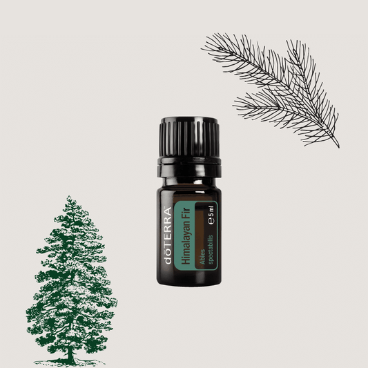 doTERRA Himalayan Fir