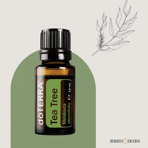 dōTERRA Tea Tree (Teebaumöl)